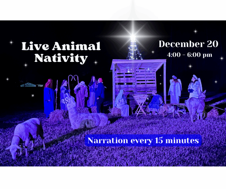 Live Animal Nativity